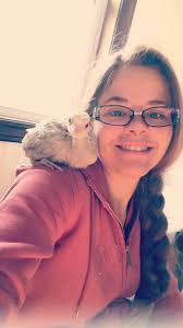 Wild Turkeys in New Hampshire Yards