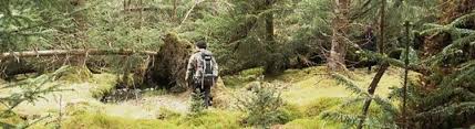 Tips On How To Disappear Without A Trace When Shtf Prepper Universe How To Disappear Shtf Prepper