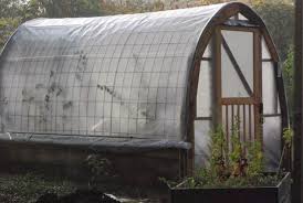Off Grid Home Sweet Home Garden Dreaming Cattle Panels Small Greenhouse Home Greenhouse