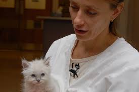 Meet the New Cuteness