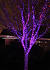 House Christmas Laser Lights
