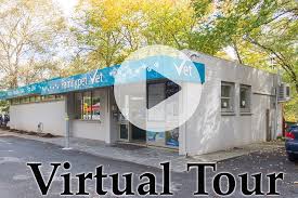 Why choose our veterinary family. Coromandel Valley Veterinary Clinic Your Family Pet Vet