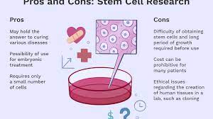 Pros And Cons Of Stem Cell Research