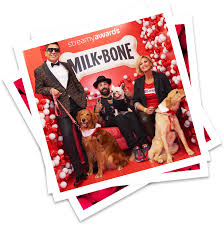 The three main ingredients in milk bone dog treats (wheat, beef, and milk) may cause an allergic response in some canines. Milk Bone Dog Of The Year Honor The Streamy Awards