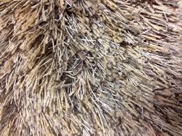 Great savings & free delivery / collection on many items. Moca Tan Shag Rug
