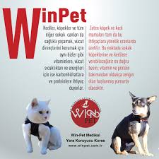 Saglikliyasam Winpet Yarakoruyucukorse Www Winpet Com Tr Kedi Danca