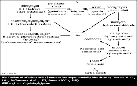 Ethylene Oxide Ehc 55 1985