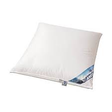 Isotonic sleep better carpenter pillow. Betten Traum Land Arktic Plus Daunenkissen Arktischer Daunenflaum 100 Im Daunenkissen 100 Daune 80x80 Vergleich 2021