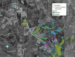 Image result for Lipocarpha rehmannii