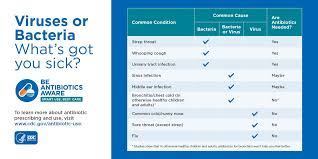 Many antibiotics, including penicillin, work by attacking the cell wall of bacteria. Pro Antibiotic Pro Antibiotic Twitter