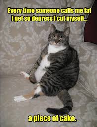 At memesmonkey.com find thousands of memes categorized into thousands of categories. Lolcats Fat Lol At Funny Cat Memes Funny Cat Pictures With Words On Them Lol Cat Memes Funny Cats Funny Cat Pictures With Words On