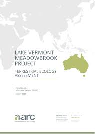 Image result for Emilia tenellula