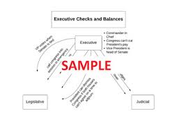 Checks And Balances Chart Worksheets Teaching Resources Tpt