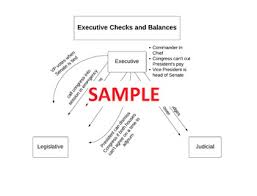 Checks And Balances Chart Worksheets Teaching Resources Tpt