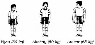 Ncert Solutions For Class 6 English Honeysuckle Chapter 2 How The Dog Found Himself A New Master Ncert Solutions For Class 6 English Honeysuckle Chapter 10 The Banyan Tree Https Www Learninsta Com Ncert Solutions For Class 6 Solutions English Help Class