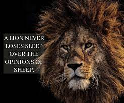 Explore our collection of motivational and famous quotes by authors you know and love. Lion And Sheep Quote Template Postermywall