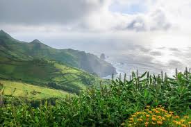 This opens in a new window. O Que Fazer Na Ilha Das Flores Joland Blog De Viagens