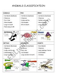Animals Classification Esl Worksheet By Maniosita In 2020 Animal Classification Animal Classification Worksheet Animal Classification Activity