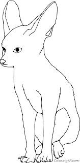 Horse templates can prove useful for horse paper craft projects, horse coloring pages and are available in the form printable horse templates as well. Simple Baby Fennec Fox Coloring Page Coloringall