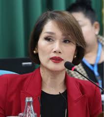 Lawmaker eyes council to regulate vloggers