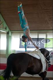 Pin By Anita Fraser On My Release Trick Riding Vaulting Equestrian Horse Vaulting