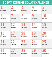 30 Day Squats Fitness Challenge Chart 30 Day Workout