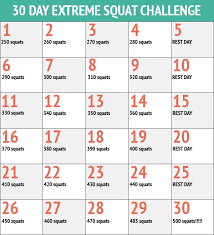 30 day squats fitness challenge chart 30 day workout