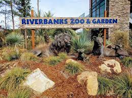 An astonishing video shared by the riverbanks zoo and garden in columbia, south carolina, last week is proving that humans and gorillas have a lot more in common than 98% of our dna. 10 Reasons We Loved Riverbanks Zoo In Columbia Sc No Home Just Roam
