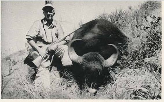 A Double Barrel Rifle, A Gaur & A Very Unpleasant Surprise | AfricaHunting.com
