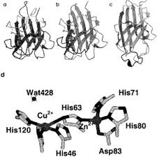 You can even race against your facebook friends in 5k. Pdf Engineering Novel Metalloproteins Design Of Metal Binding Sites Into Native Protein Scaffolds