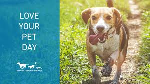 All the same deets, just updated dates, so you can because, again,. National Love Your Pet Day How To Celebrate It Tractive Blog