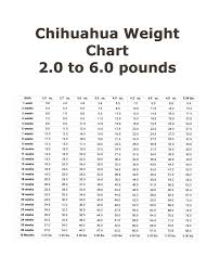 49 Paradigmatic Chihuahua Chart