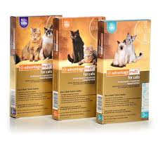 Check spelling or type a new query. Revolution Selamectin Flea And Heartworm Treatment