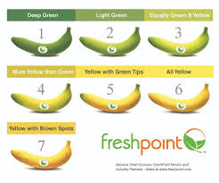 banana graph exports of banana from india in 2017