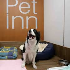 Trainers will be required to complete the course in 16 weeks. Pet Hotel Associate Pay The O Guide