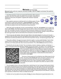 We did not find results for: Meiosis By Cindy Grigg Read And Mark Up The Text Using The Rule