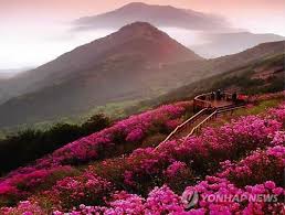 내 고향 여수 작사 박용철 작곡 정 환 노래 나유진 내 고향 남쪽 바다 동백꽃이 곱게 필 때면 바람도 구름도 쉬어가는 곳 살기 좋은 여수랍니다 아 그리워라 내자란 고향 어머님도 안녕하신지 눈감으면. ê³ í–¥ì˜ ë´„ ë°°ê²½ ì°½ì› ì²œì£¼ì‚°ì„œ 10ì¼ ì§„ë‹¬ëž˜ ì¶•ì œ ì—°í•©ë‰´ìŠ¤