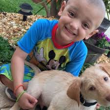 Fundraiser for Nikki Miceli by Katie Miceli : Anthony's Army