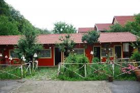 Otel çift kişilik oda gibi oda tiplerini sağlar. Poze Imagini Pensiunea Viorica Sambata De Sus