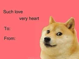 What to write in the valentine's day card? Very Doge Funny Dog Pictures Funny Dogs Dog Pictures