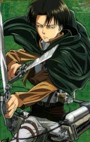 They were eventually caught by erwin smith who blackmailed levi so that he'd join the scouting legion. Meh Is Levi Gay Snk Fact 2