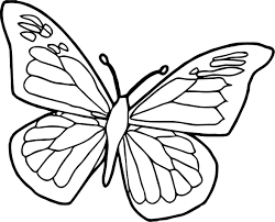 Free butterfly coloring pages printable. Cool Blue Black Butterfly Coloring Page Butterfly Coloring Page Insect Coloring Pages Butterfly Printable