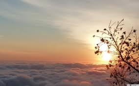 Wallpaper sunset, birds, clouds, hd, 4k, nature, #3893. Above The Clouds Sunset Hd Wallpaper Download