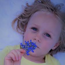 Desert Flower Photography