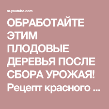 секрет раскрыт лучшее удобрение всех времен чай из травы Obrabotajte Etim Plodovye Derevya Posle Sbora Urozhaya Recept Krasnogo Rastvora Ot Ivana Russkih Youtube