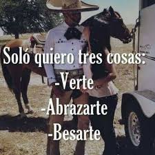 Es Lo Que Pido Frases De Caballos Frases Frases Vaqueras De Amor