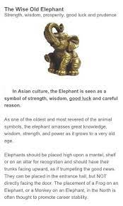 Pin By Sharon Orndorff On Elephant Elephant Elephant Tattoos Elephant Meaning Elephant Quotes