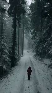 Natural Release On Instagram Winter In The Black Forest Of Germany Follow Natur In 2021 Beautiful Nature Scenes Aesthetic Photography Nature World Photography