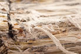 We did not find results for: Asbestos And Mesothelioma Compensation Claims Personal Injury Claim Lawyers Leeds