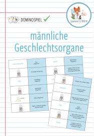Pin Auf Biologie Sekundarstufe Unterrichtsmaterialien
